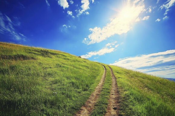Download Dirt Road with Greenery Background - Greenery background Collection